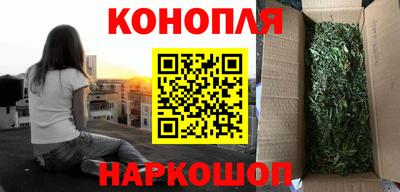 сатива Пушкино