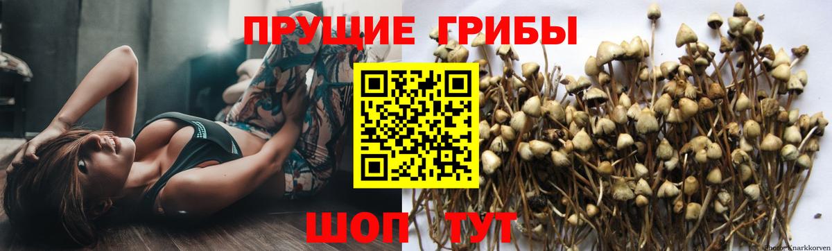 Псилоцибиновые грибы прущие грибы Химки